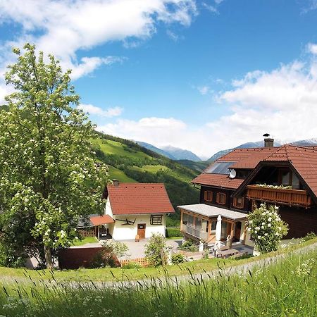 Sportbauernhof - Gasthaus Hochalmblick Krems in Kaernten Dış mekan fotoğraf